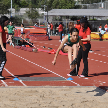 Captura de pantalla 2025-10-06 a la(s) 12.22.15 a. m.